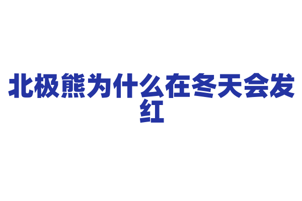北极熊为什么在冬天会发红？