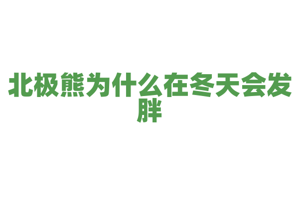 北极熊为什么在冬天会发胖？