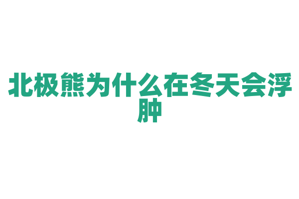 北极熊为什么在冬天会浮肿？