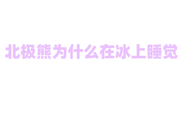 北极熊为什么在冰上睡觉？