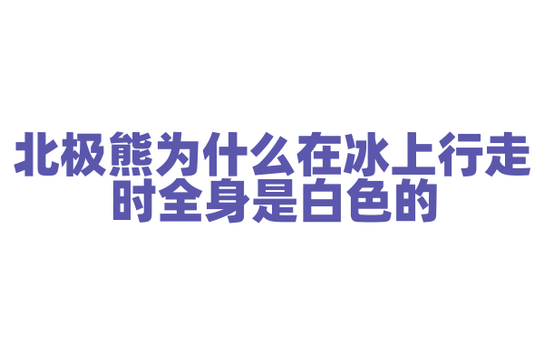 北极熊为什么在冰上行走时全身是白色的？