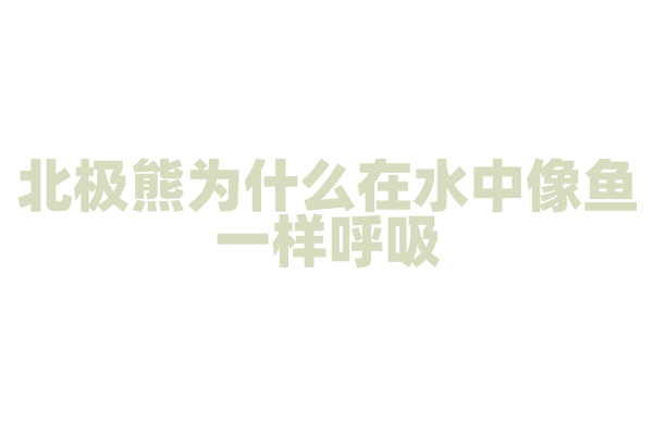 北极熊为什么在水中像鱼一样呼吸？