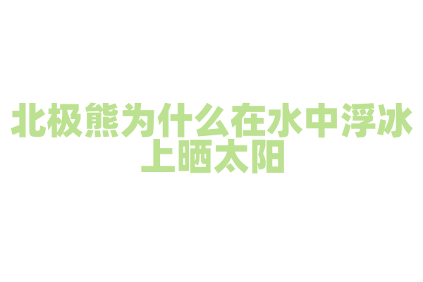 北极熊为什么在水中浮冰上晒太阳？