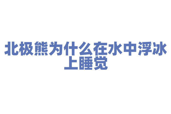 北极熊为什么在水中浮冰上睡觉？