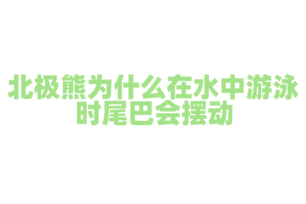 北极熊为什么在水中游泳时尾巴会摆动？