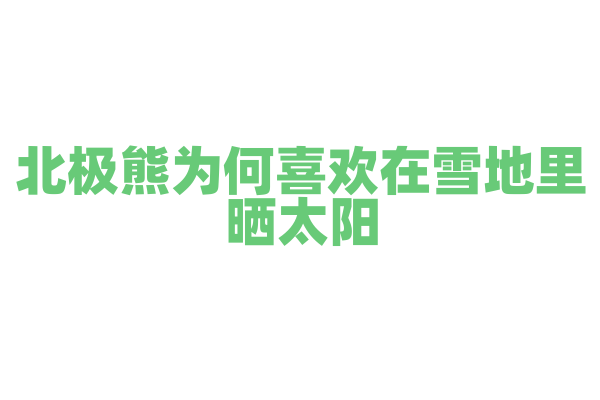 北极熊为何喜欢在雪地里晒太阳？
