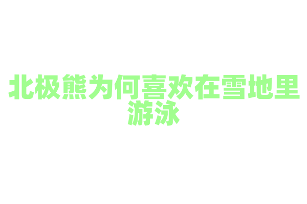 北极熊为何喜欢在雪地里游泳？
