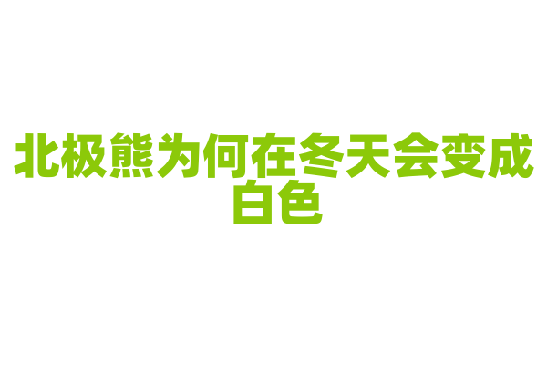 北极熊为何在冬天会变成白色？
