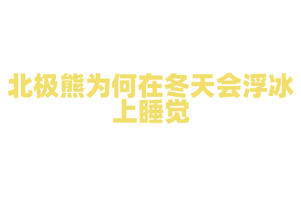 北极熊为何在冬天会浮冰上睡觉？