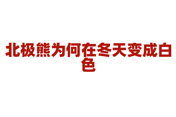 北极熊为何在冬天变成白色？