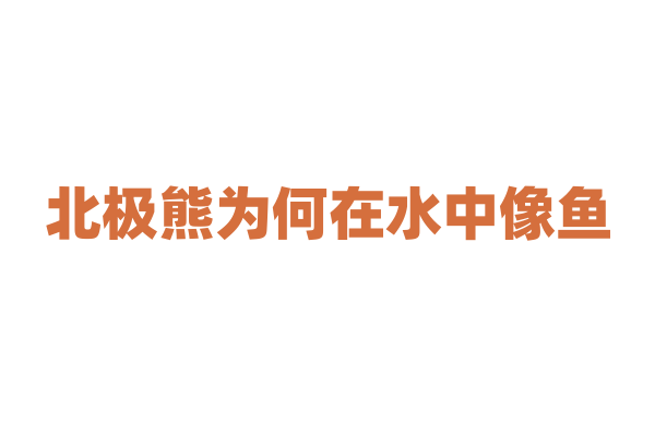 北极熊为何在水中像鱼？