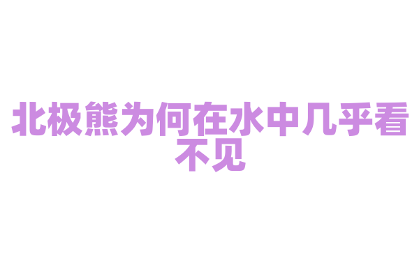 北极熊为何在水中几乎看不见？