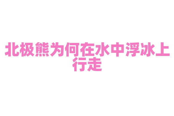 北极熊为何在水中浮冰上行走？
