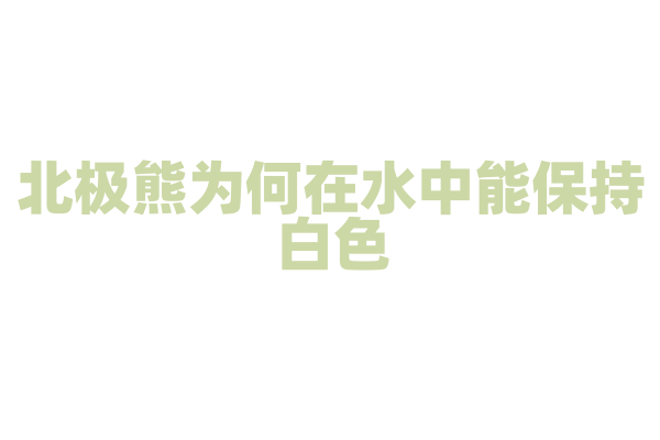 北极熊为何在水中能保持白色？