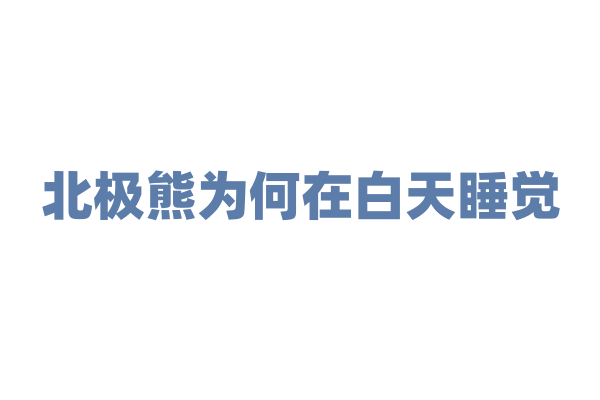 北极熊为何在白天睡觉？