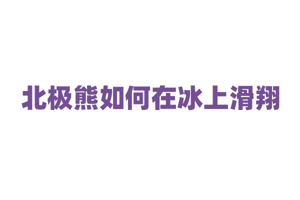 北极熊如何在冰上滑翔？