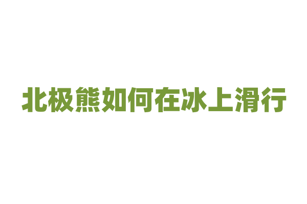 北极熊如何在冰上滑行？