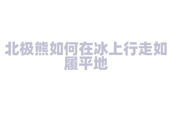北极熊如何在冰上行走如履平地