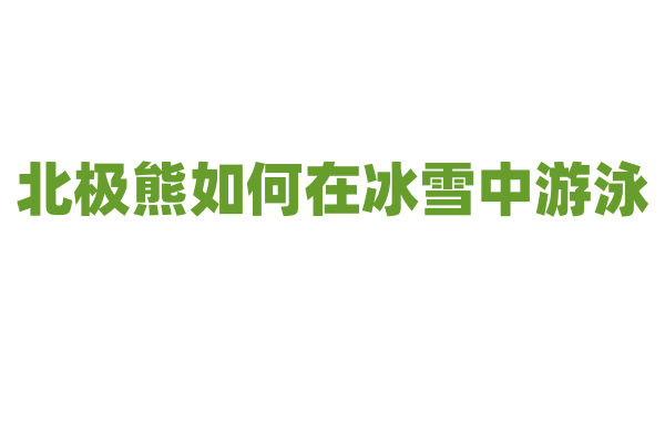 北极熊如何在冰雪中游泳？