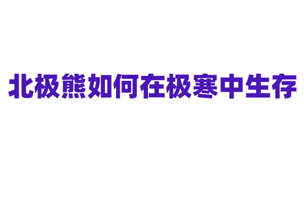 北极熊如何在极寒中生存？
