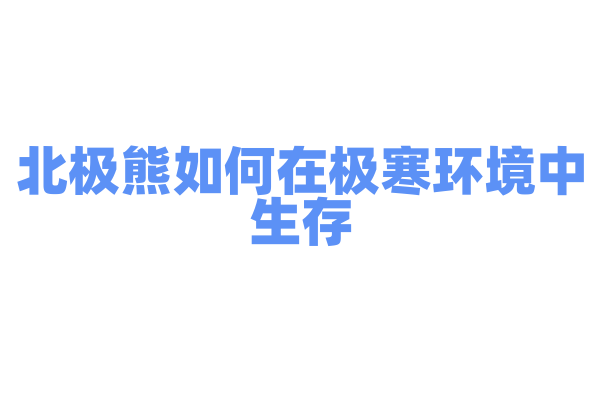 北极熊如何在极寒环境中生存