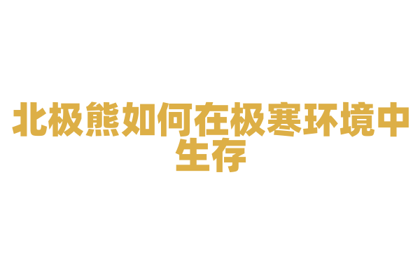 北极熊如何在极寒环境中生存？
