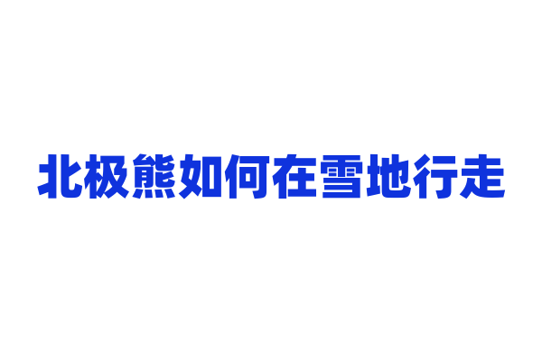北极熊如何在雪地行走？