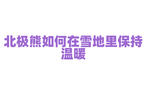 北极熊如何在雪地里保持温暖？