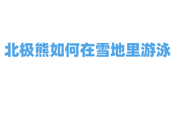北极熊如何在雪地里游泳？
