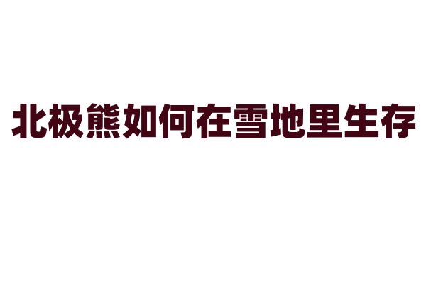 北极熊如何在雪地里生存