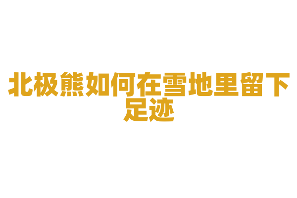 北极熊如何在雪地里留下足迹？