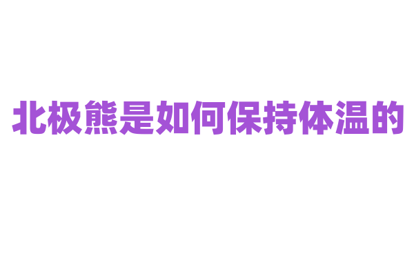 北极熊是如何保持体温的？
