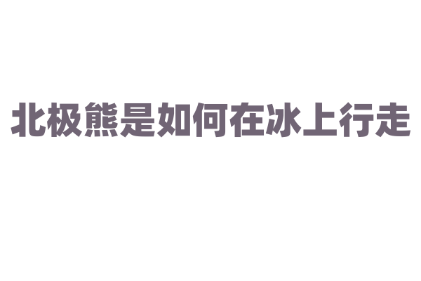 北极熊是如何在冰上行走？