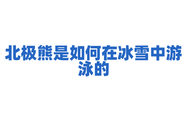 北极熊是如何在冰雪中游泳的？