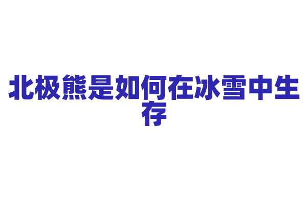 北极熊是如何在冰雪中生存？