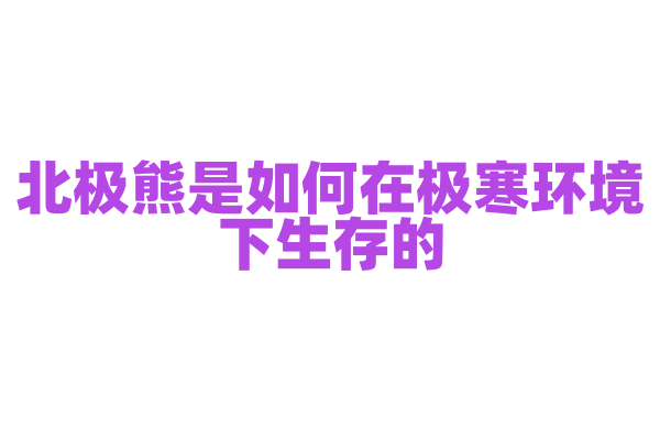 北极熊是如何在极寒环境下生存的？