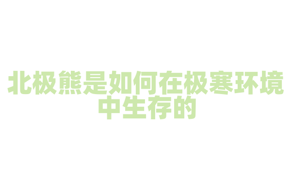 北极熊是如何在极寒环境中生存的？