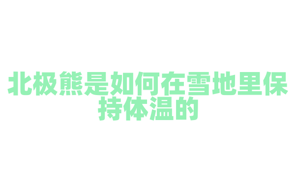北极熊是如何在雪地里保持体温的？