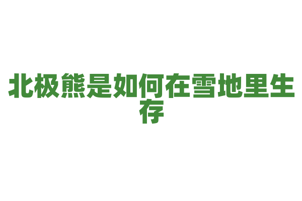 北极熊是如何在雪地里生存？