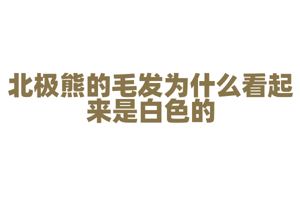 北极熊的毛发为什么看起来是白色的