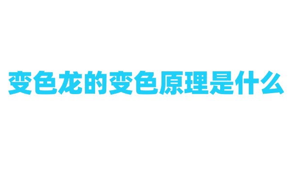 变色龙的变色原理是什么
