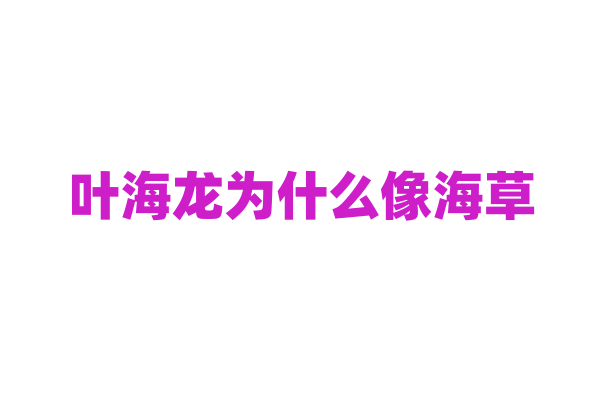 叶海龙为什么像海草，它的伪装能力和生存环境有什么关系？