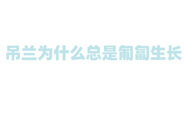 吊兰为什么总是匍匐生长，这种生长方式有什么好处？