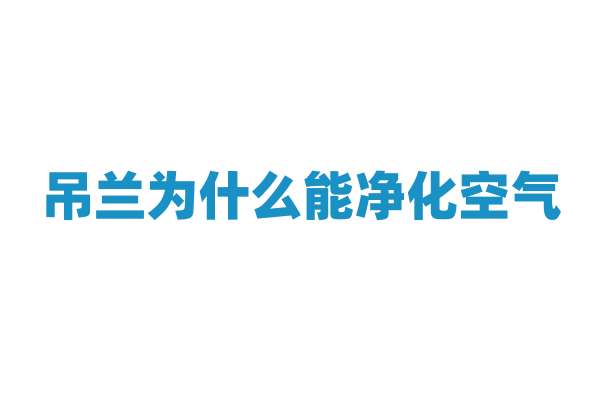 吊兰为什么能净化空气，它吸收有害气体的原理是什么？