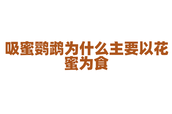 吸蜜鹦鹉为什么主要以花蜜为食，它的消化系统有什么特殊之处？