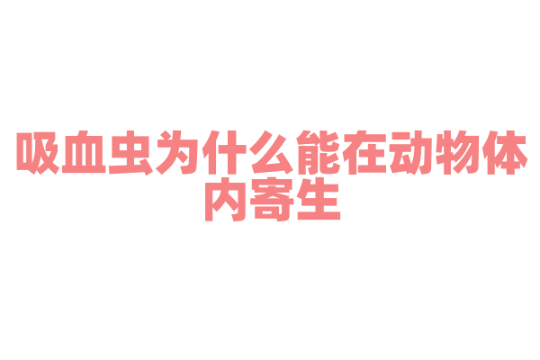 吸血虫为什么能在动物体内寄生，它的寄生机制和生存策略是什么？