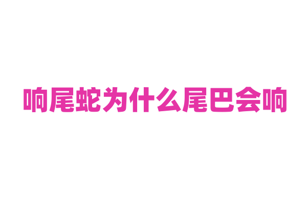 响尾蛇为什么尾巴会响，它的响尾机制和作用是什么？
