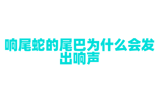 响尾蛇的尾巴为什么会发出响声？