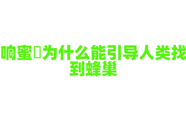 响蜜鴷为什么能引导人类找到蜂巢，它与人类的共生关系是怎样的？