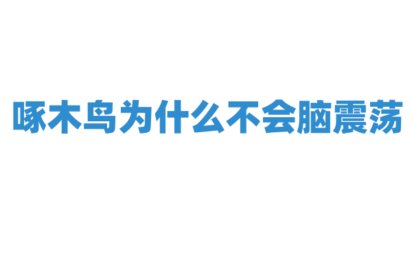 啄木鸟为什么不会脑震荡，它的头部结构有什么奥秘？